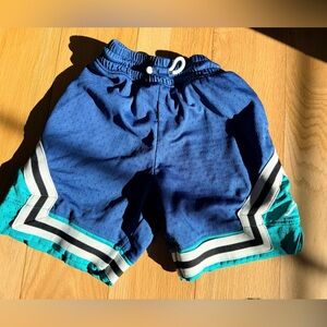 Jordan Blue Athletic Shorts